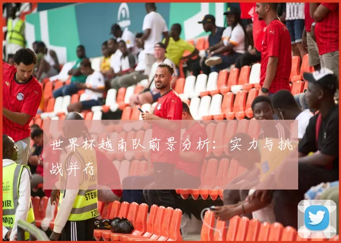 世界杯越南队前景分析：实力与挑战并存